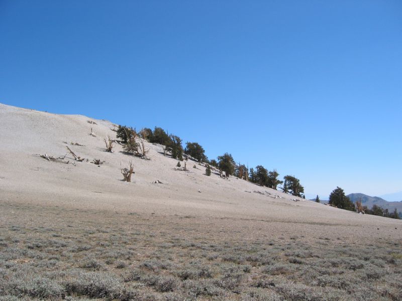 2003-09-20 White (76)